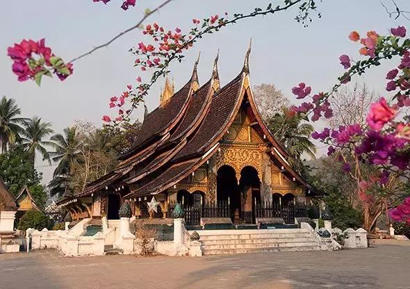 探寻黄大仙的特马，一场神秘与智慧的交织之旅黄大仙特马救世网