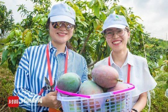 澳门，四季分明的热带海洋性气候澳门6月份天气热吗冬天冷吗多少度了呀